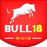 Bull18 Movers Auckland image 3
